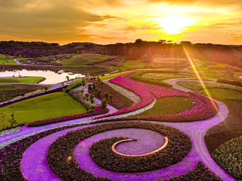 MÁTRIA PARQUE DE FLORES